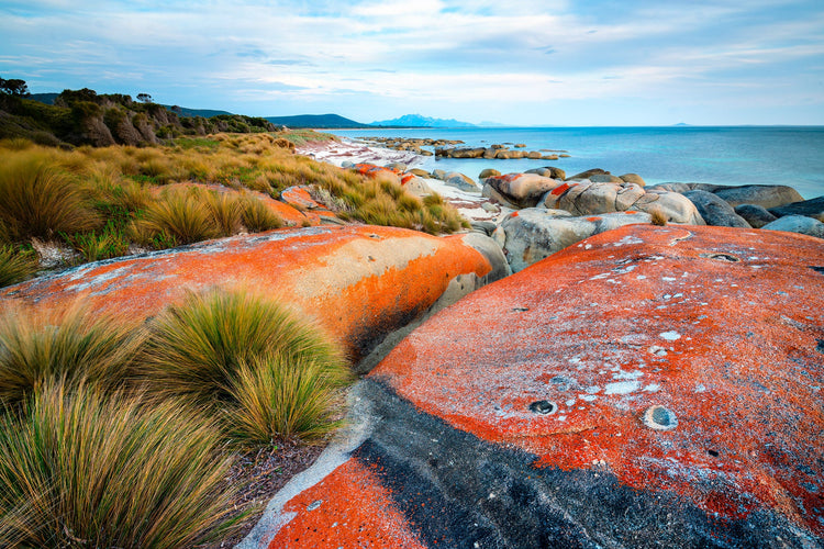 Flinders Island