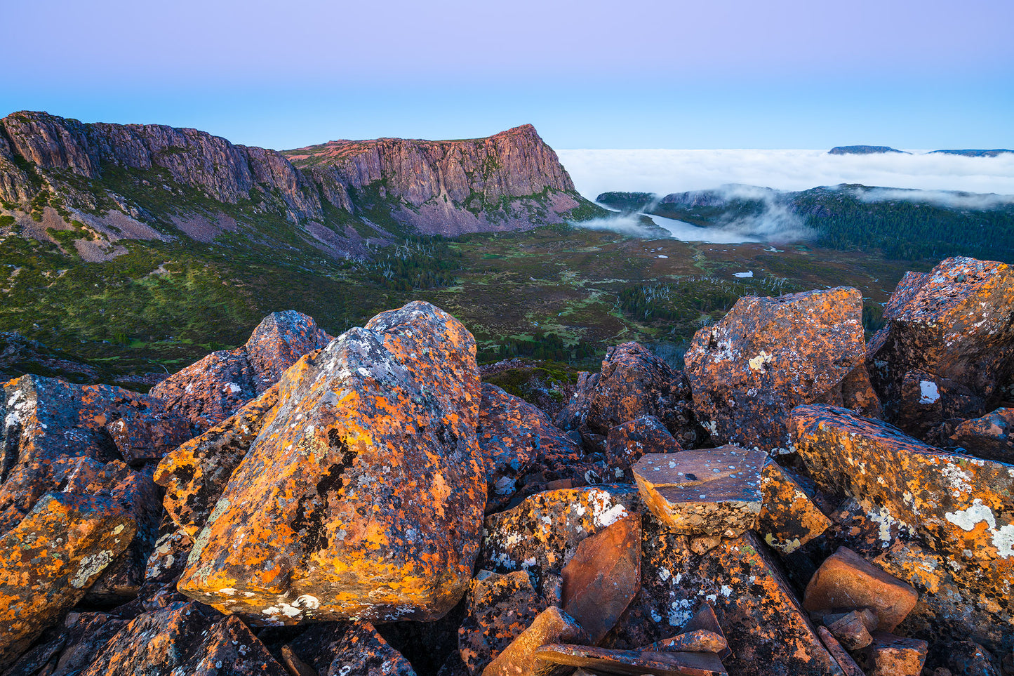 Morning at the Temple