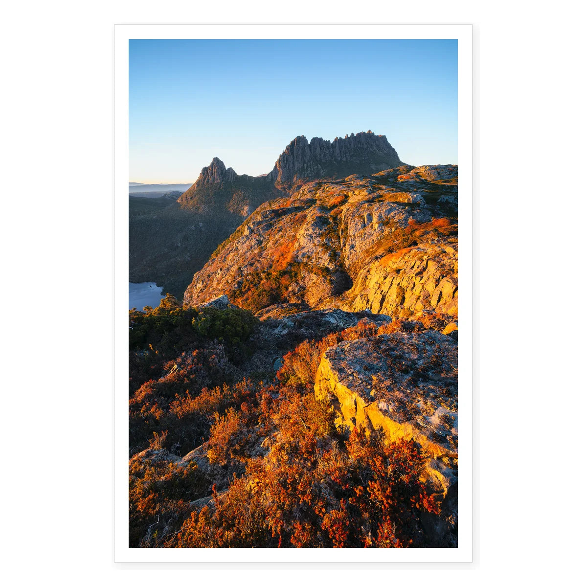 Turning of the Fagus at Cradle