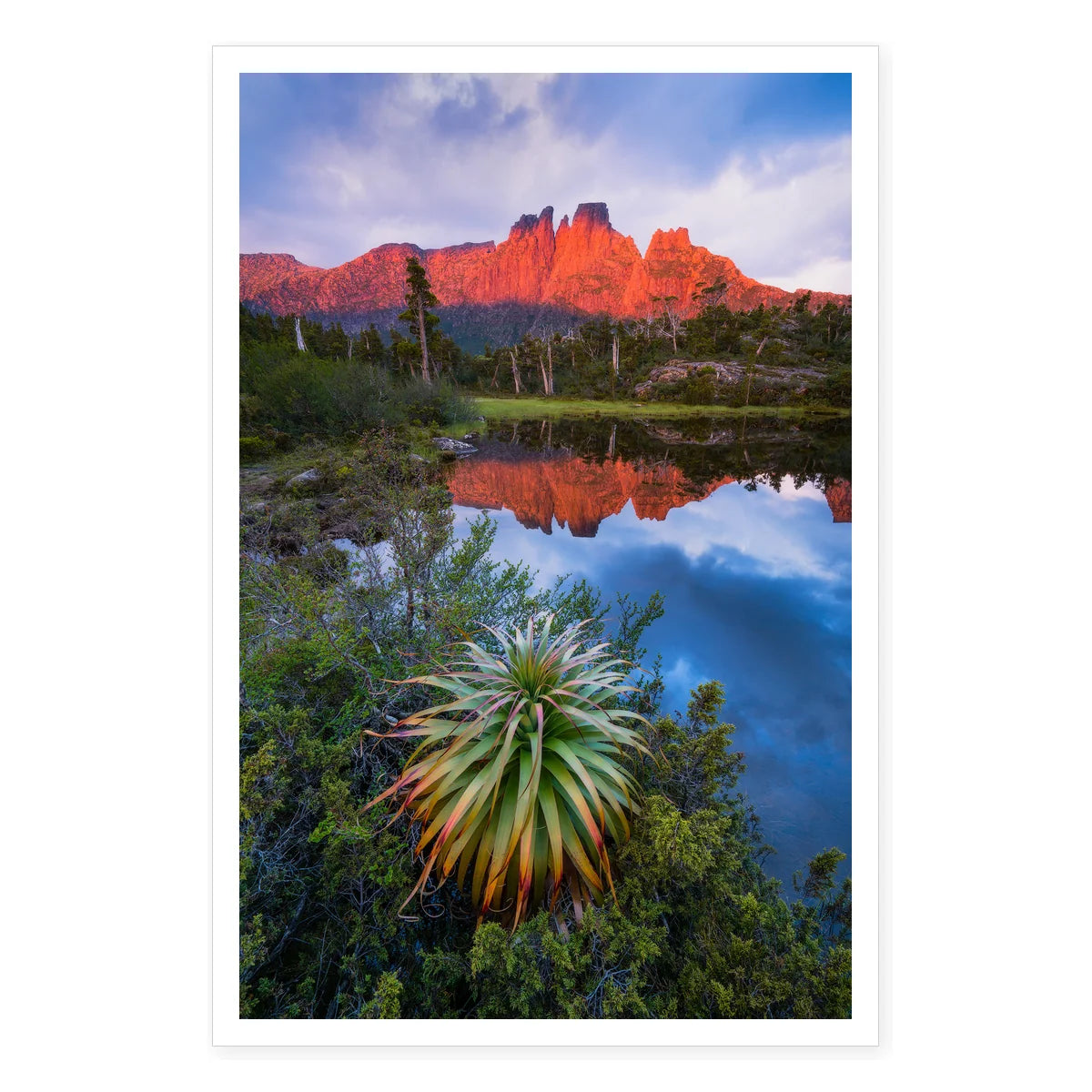 Pandani at the Pool of Memories