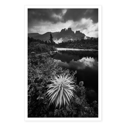 White Pandani at the Pool of Memories