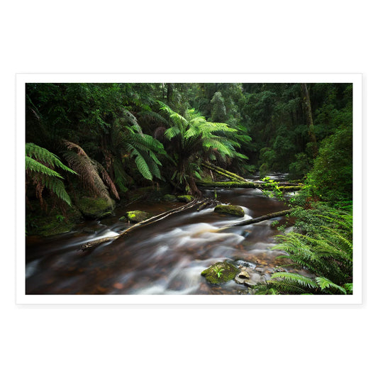Nelson River Serenity