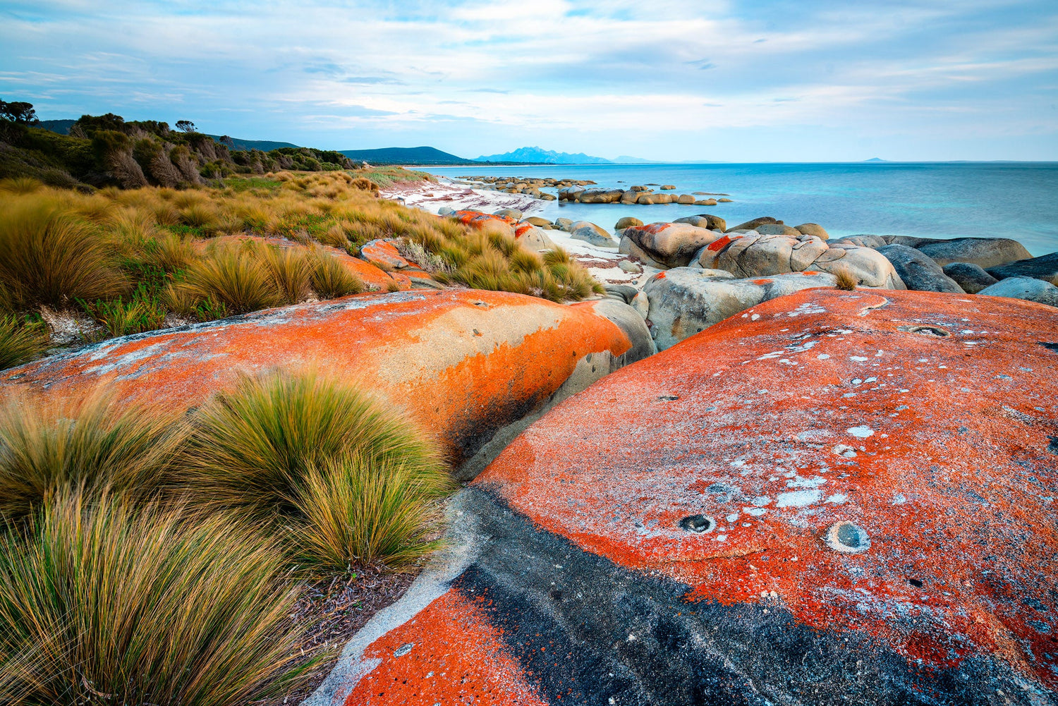 Flinders Island