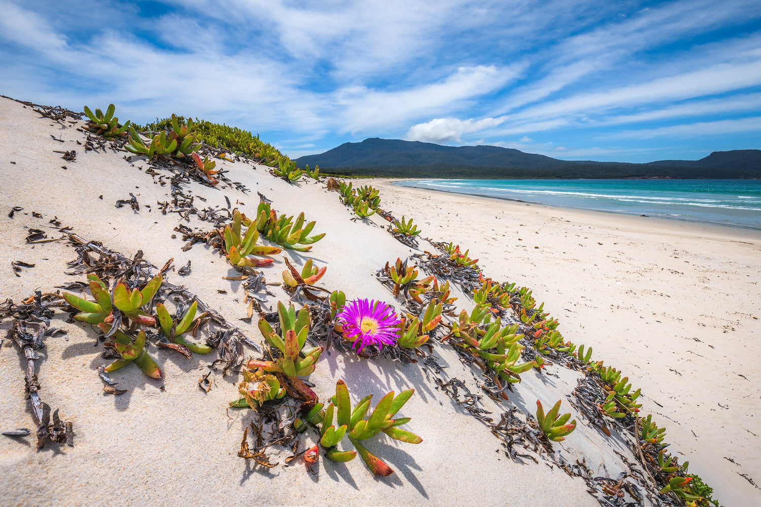 Maria Island