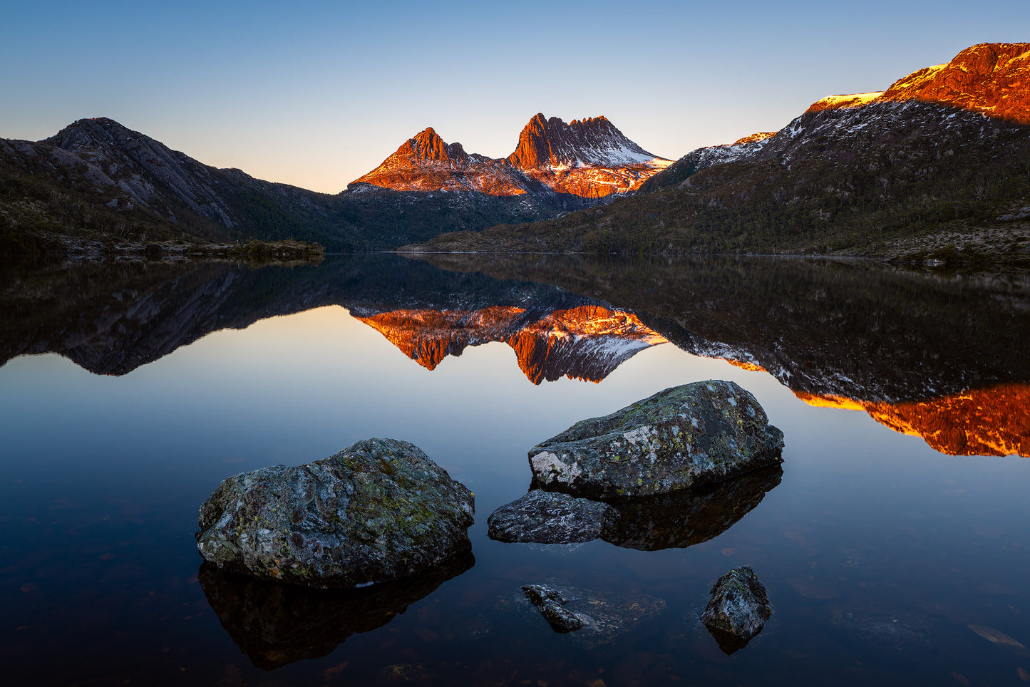 Dove Lake Reflections