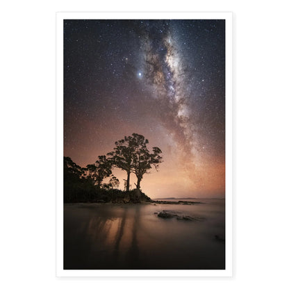 Two Tree Galaxy